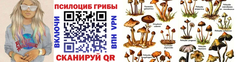 Галлюциногенные грибы ЛСД Плавск